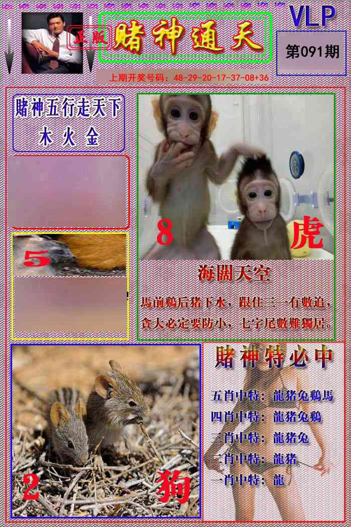 091期赌神通天报[图]