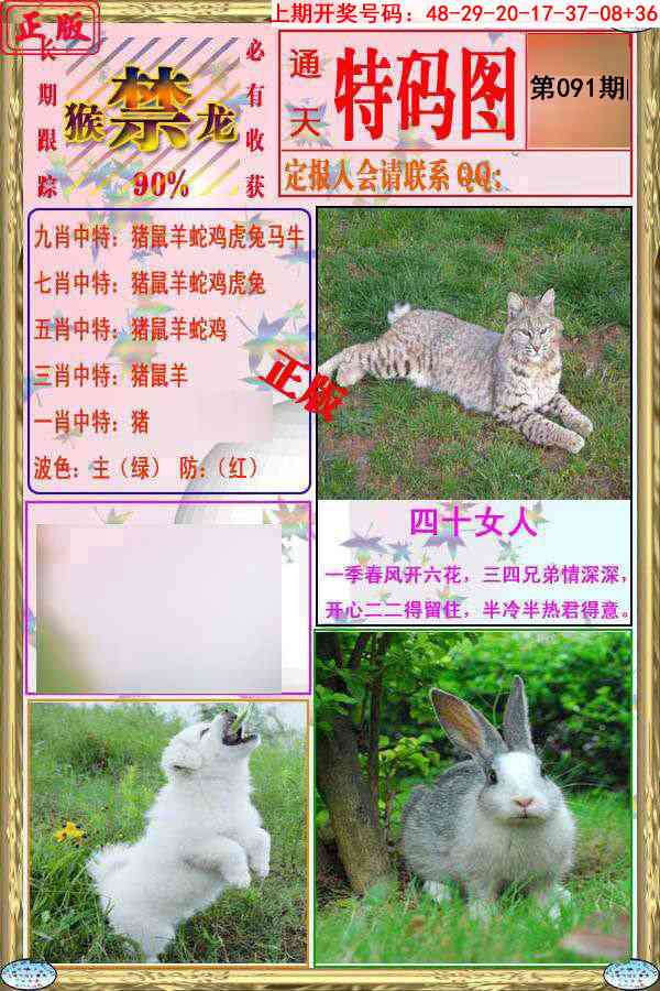 091期特码图[图]