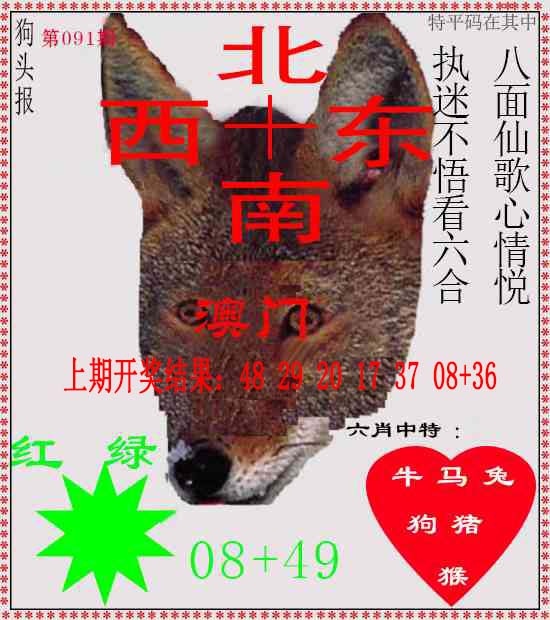 091期狗头报[图]